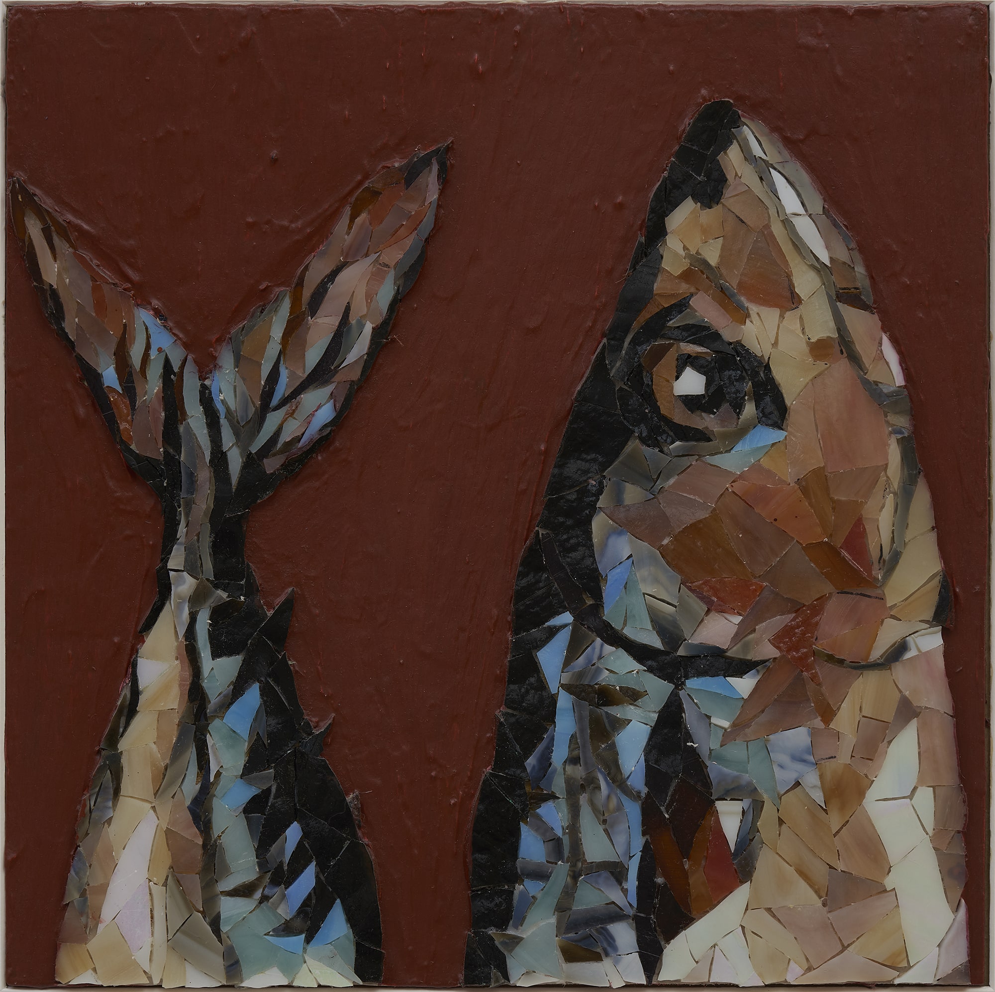 Brown Fish