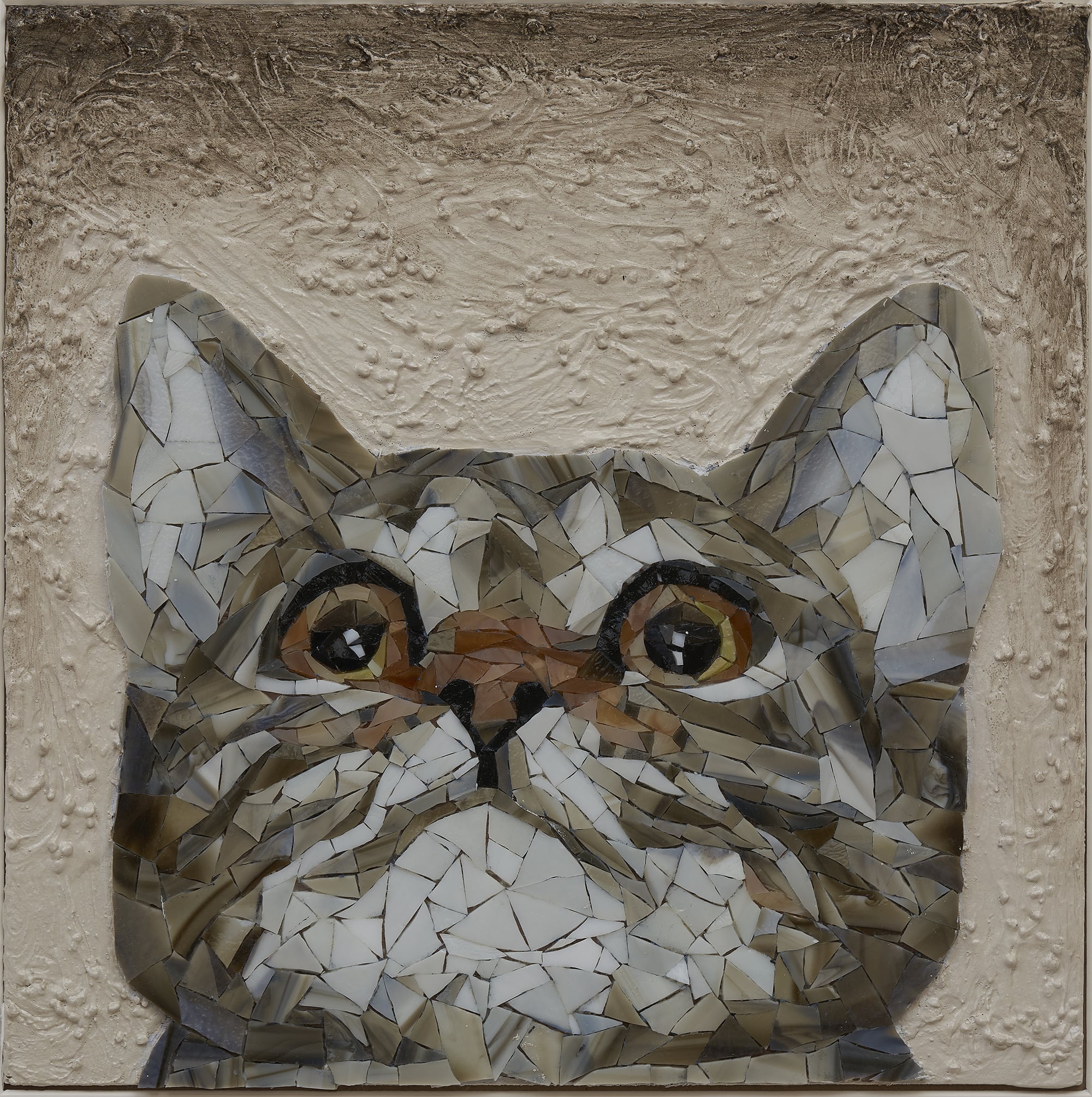 Tabby